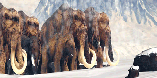 Prehistorische zoogdieren Prehistorische zoogdieren