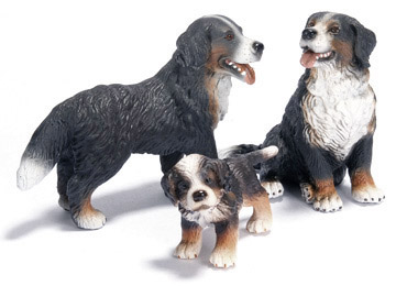 Berner Sennenhond