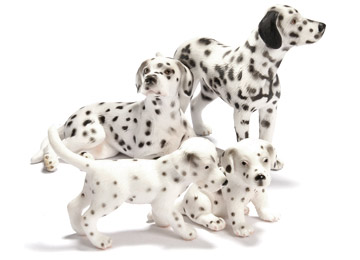 Dalmatian