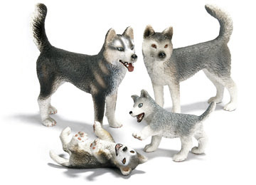 Husky
