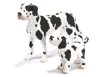Great Dane