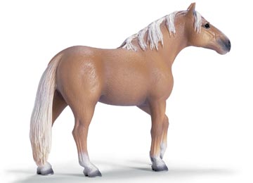 Palomino