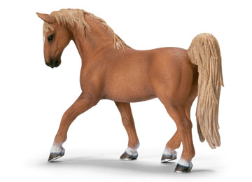 Tennessee walker Tennessee walker