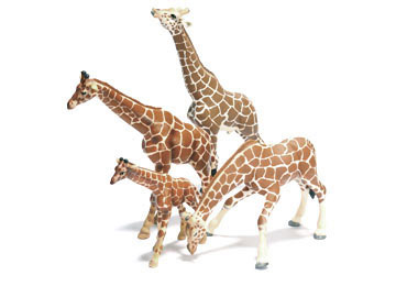 Giraffe Giraffe