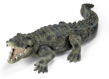 Crocodile