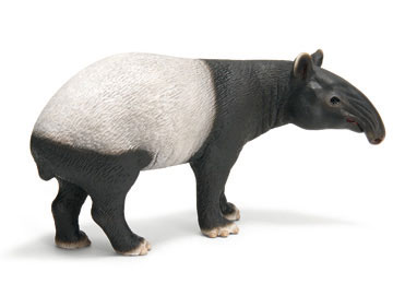 Tapir