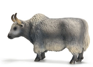 YAK