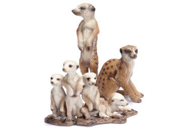 Meerkat Meerkat