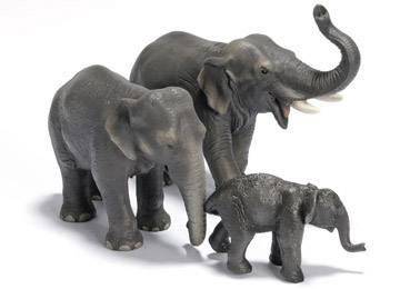 indische olifant indische olifant
