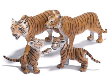 Tijger