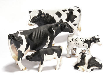 Vee Holstein