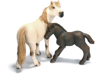 Camargue Camargue