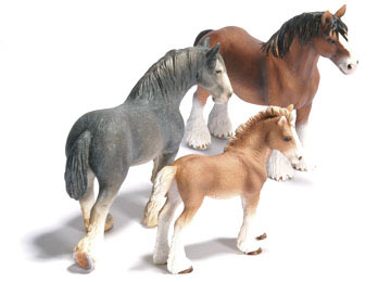 Clydesdale