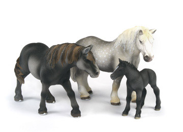 Percheron