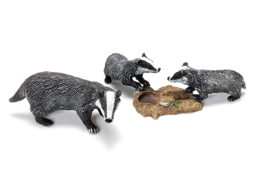 Badgers
