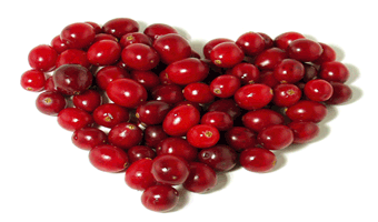 Cranberry Cranberry