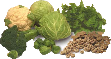 Vitamine K Vitamine K