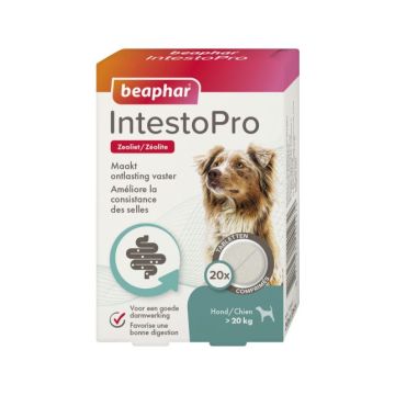 Beaphar Intestopro Dog > 20kg - Digestive Aid - Up to 20 Kg 20 Tablets
